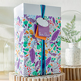 1007IW-62370 cadeau surprise Françoise Saget.jpg