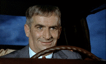 11917633[1].gif