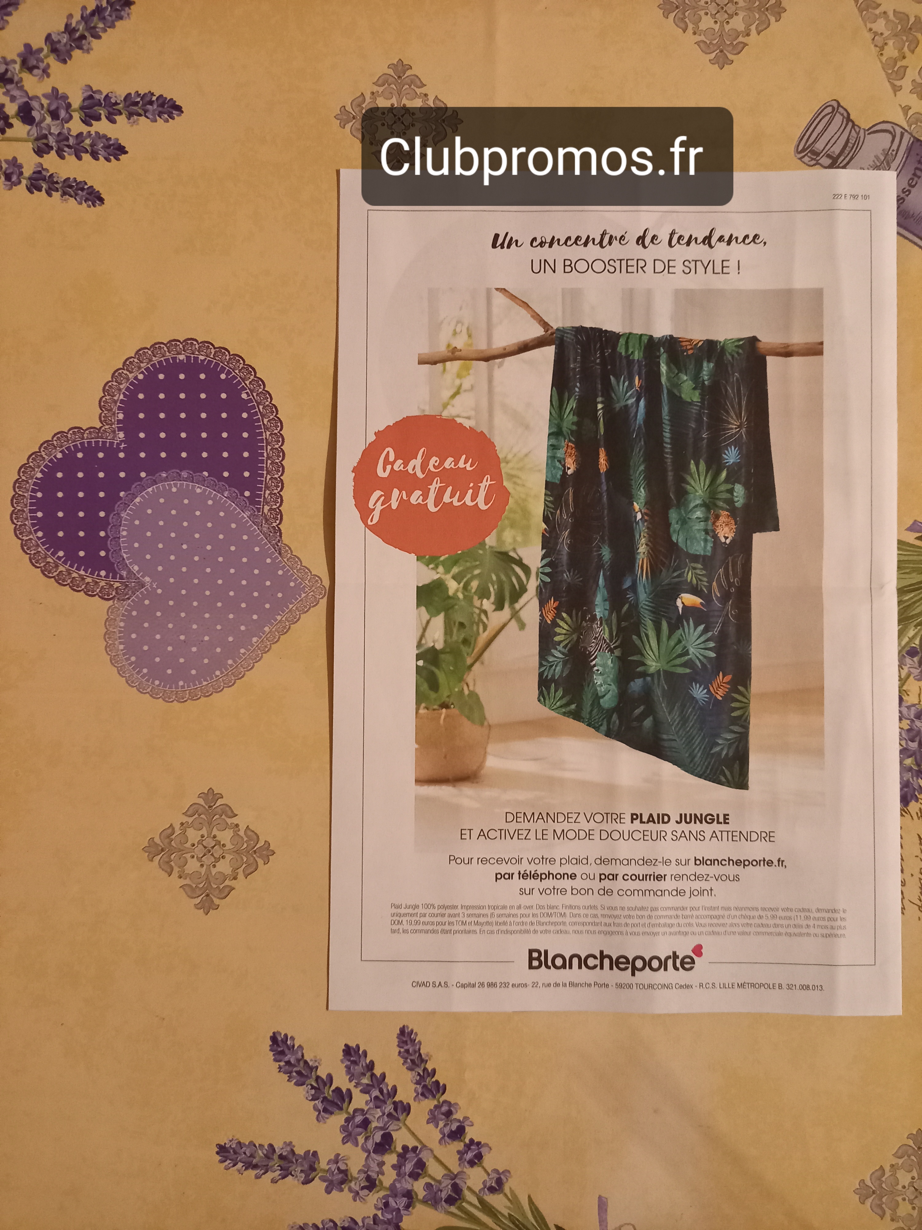 20220215_062648 blanche porte plaid jungle tropicale.jpg