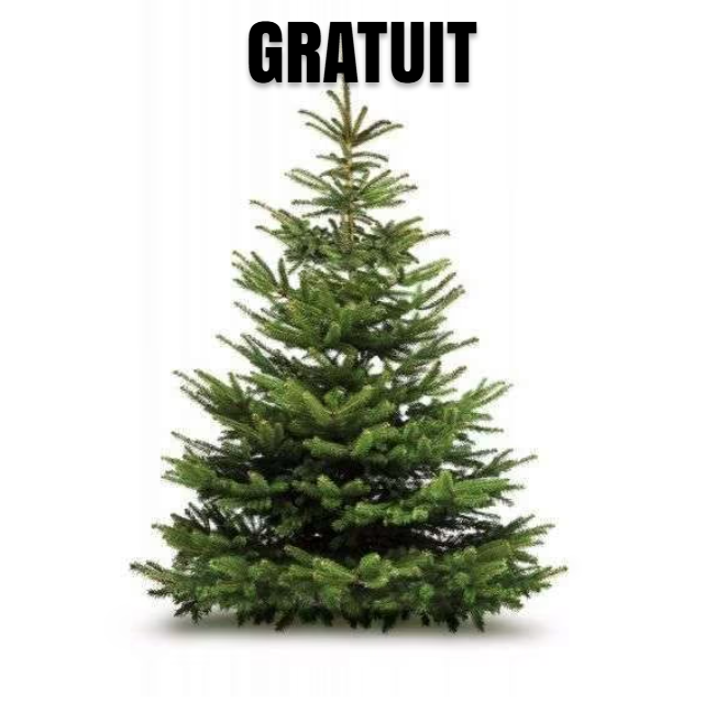 Distribution gratuite de sapins de Noël à Sommevoire et Rozières (Haute-Marne, 52) – opération communale 2025 pour décorer les extérieurs des habitations, sapins à récupérer gratuitement en mairie avant le 17 novembre, bon de participation à télécharger sur IntraMuros.