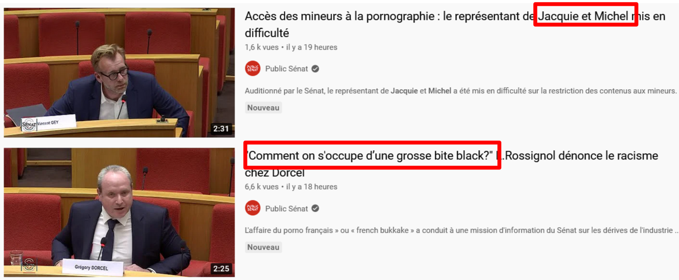 -34-public-senat-jaquie-michel-YouTube(1).png