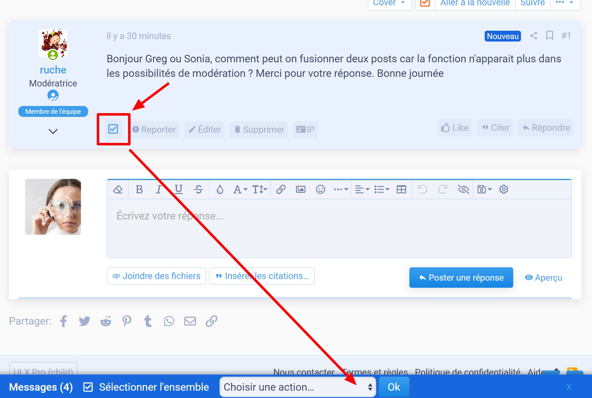 _968  Comment fusionner deux posts  .jpg