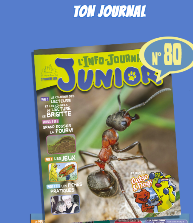 Illustration montrant un enfant lisant le magazine gratuit Info-Journal Junior sponsorisé par la Fondation Brigitte Bardot, un magazine ludique sur les animaux destiné aux enfants, disponible en abonnement gratuit à domicile.