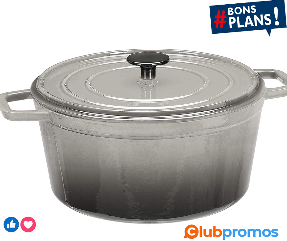 Amazon Basics Cocotte en fonte émaillée de haute qualité 4,7 L - Gris (Deep Grey) .png