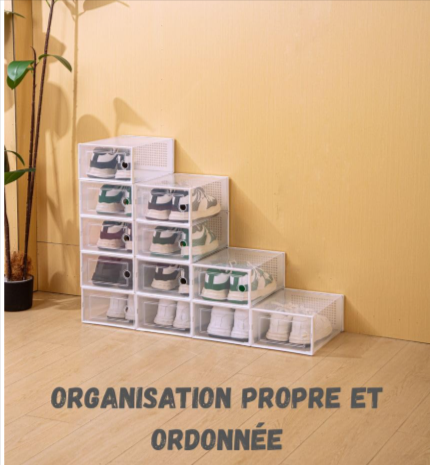 boites_chaussures_2d_corp_transparentes..png