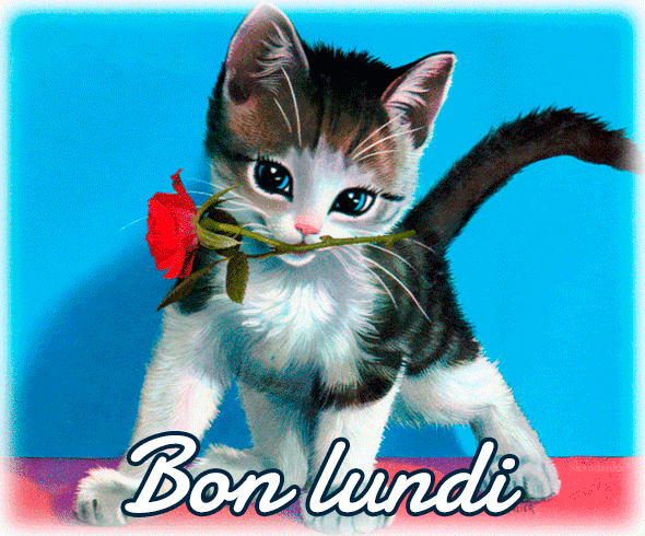 bon-lundi-12.gif