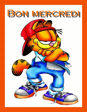 bon-mercredi-avec-garfield.gif