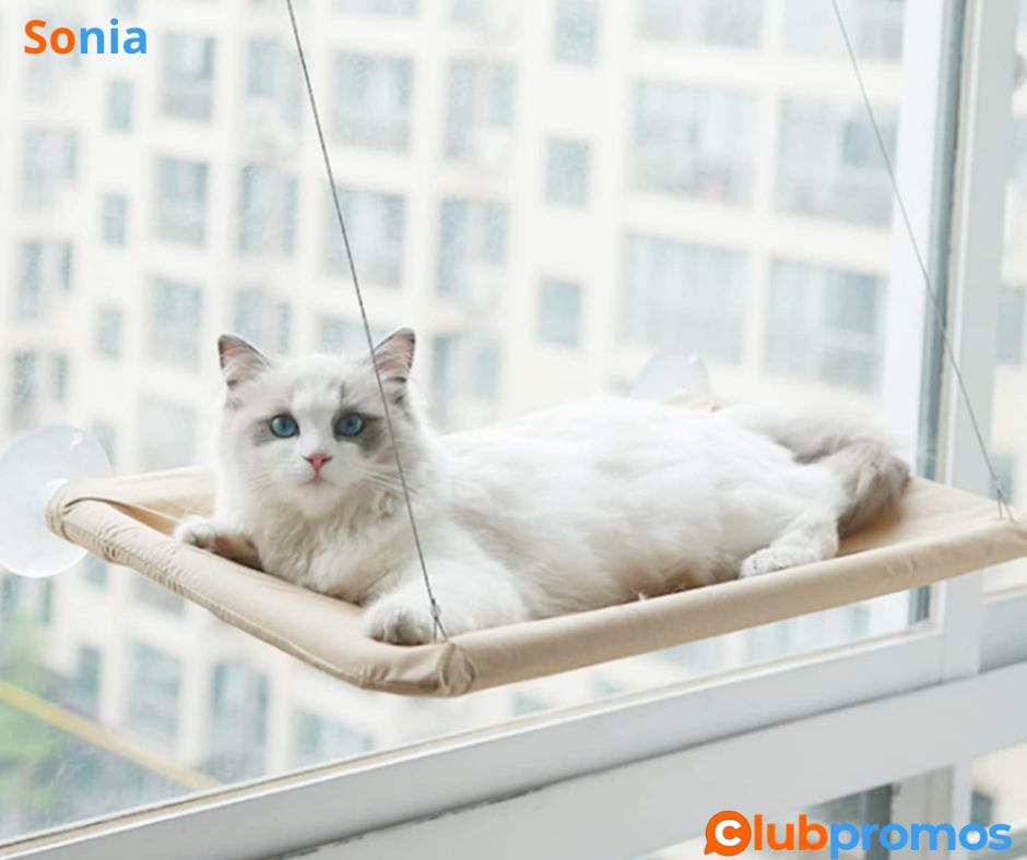 Bon plan amazon Fenêtre de lit de Chat,Feelhap Hamac de Fenêtre Chat Chaise Longue de Fenêtre ...png