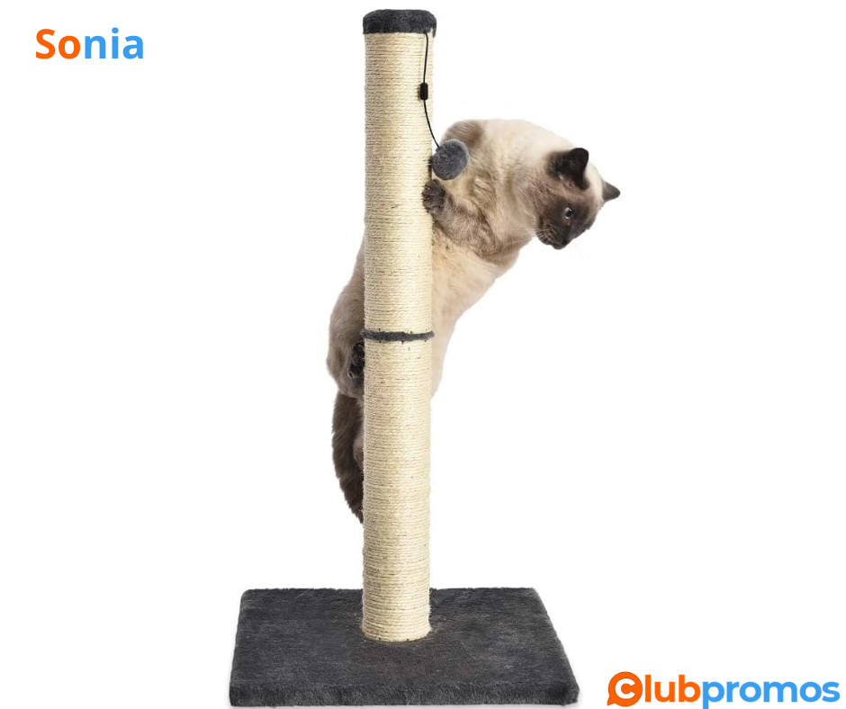 Bon plan amazon Griffoir pour Chat Amazon Basics à 15,03€ au lieu de 32,29€.png