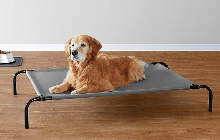 bon plan lit pour chien.png