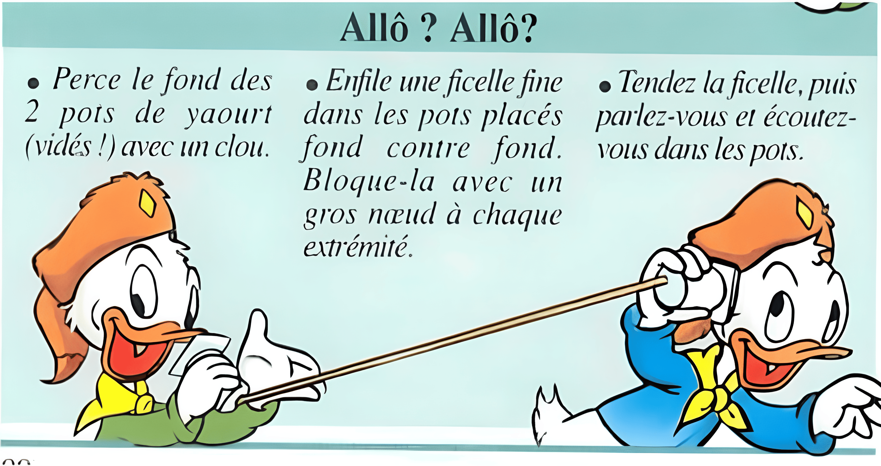 Capture d'écran 2025-08-20 171631.Castors(1).png