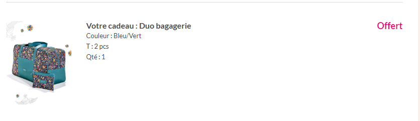 Capture d’écran (33).png