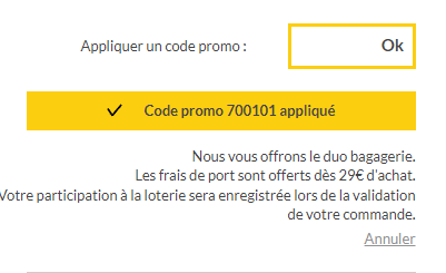Capture d’écran (34).png