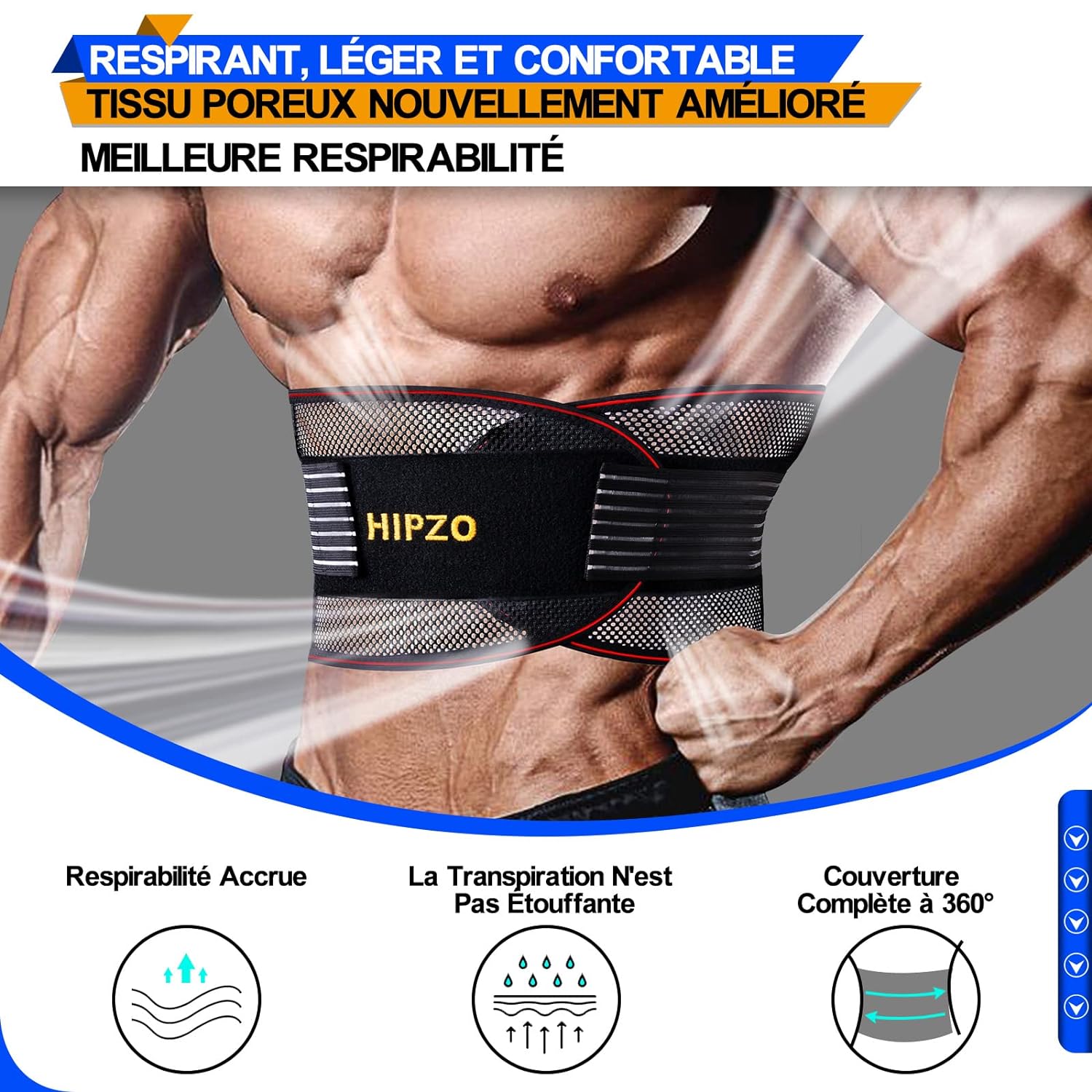 ceinture lombaire.jpg