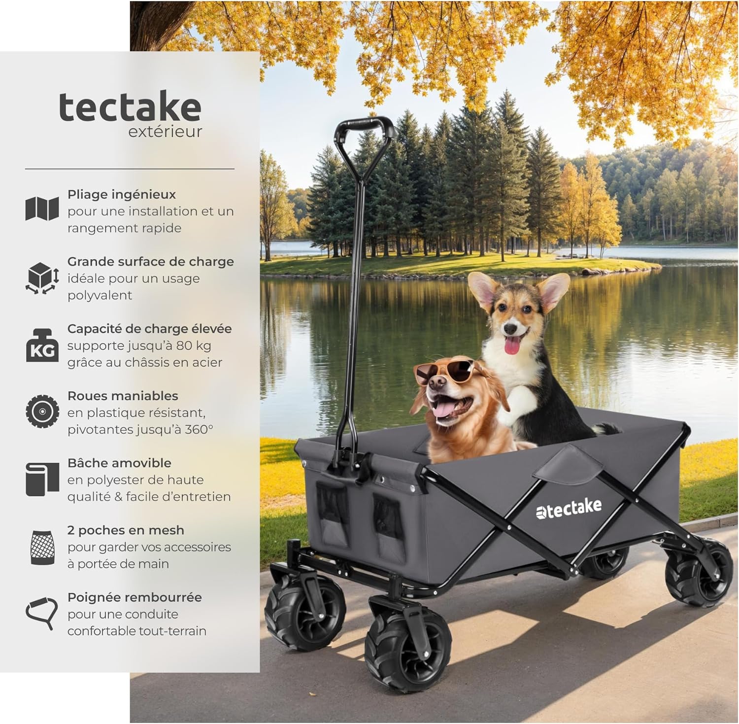  Chariot de jardin TecTake 800576 tout-terrain pliable, capacité 80 kg, roues extra larges, facile à plier et à transporter, idéal pour les excursions, le jardin et les chantiers, couleur grise, dimensions 114 x 51 x 48,5 cm.