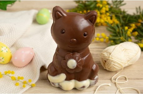 chaton-pelote-chocolat-au-lait-1.jpg