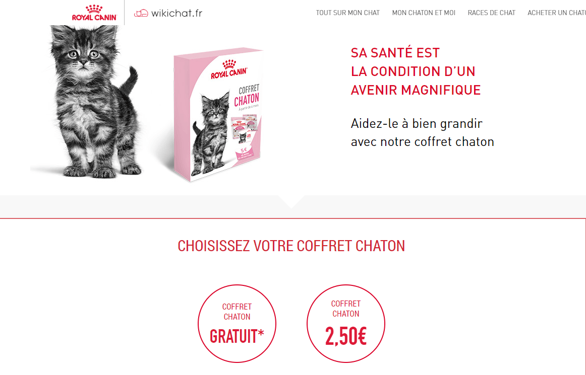 Choix coffret chaton   Wikichat.png