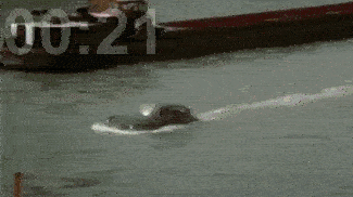 converted-from-video-1743607329254.gif