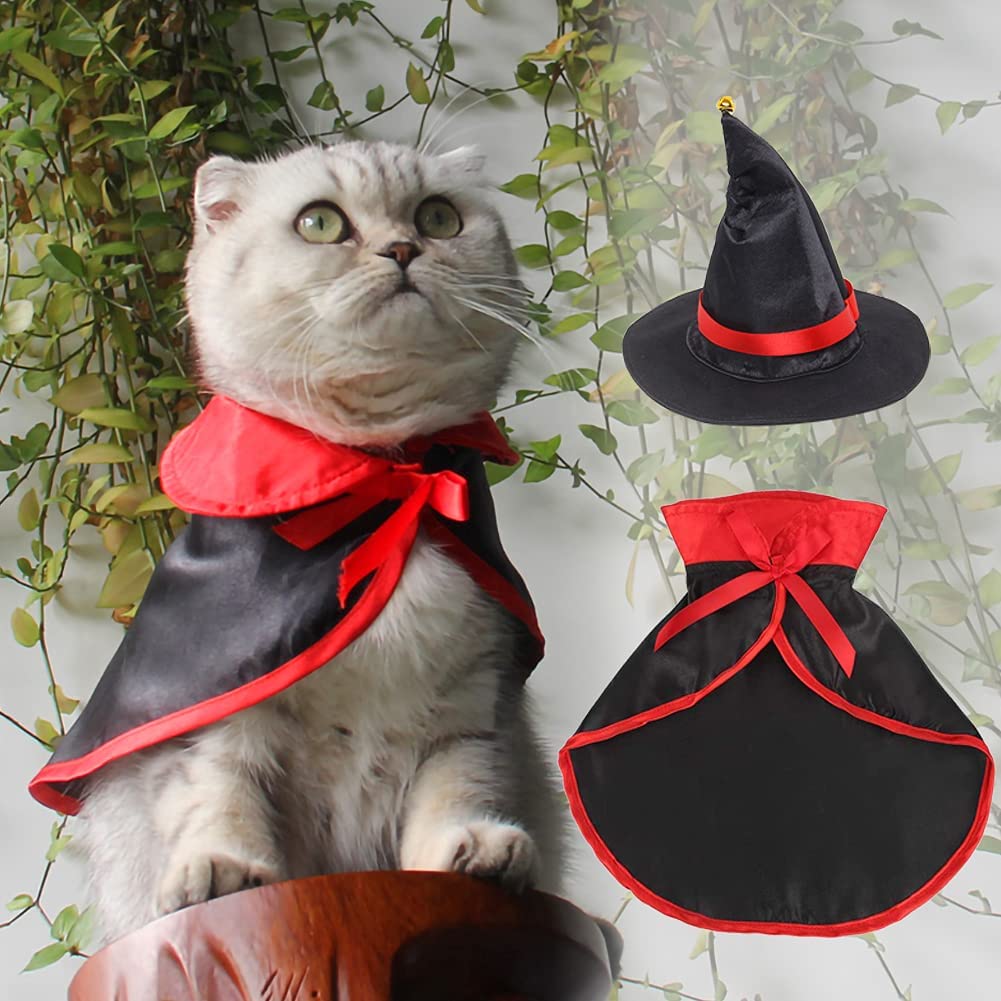 costume halloween.jpg