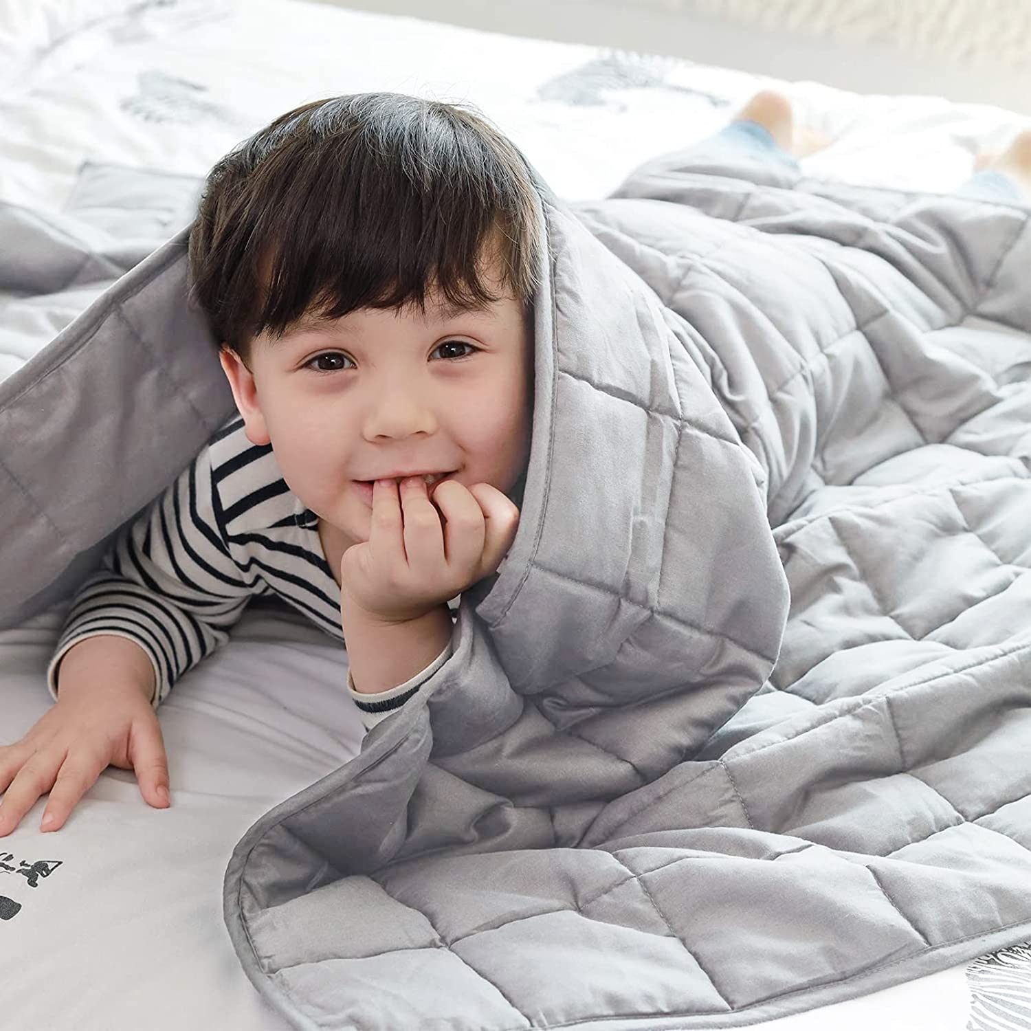 couverture lestee.jpg