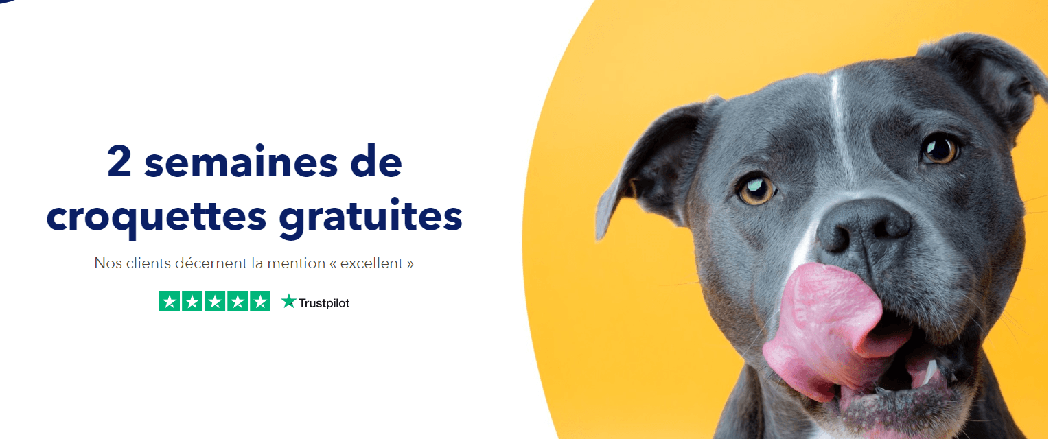 croquettes gratuites.png