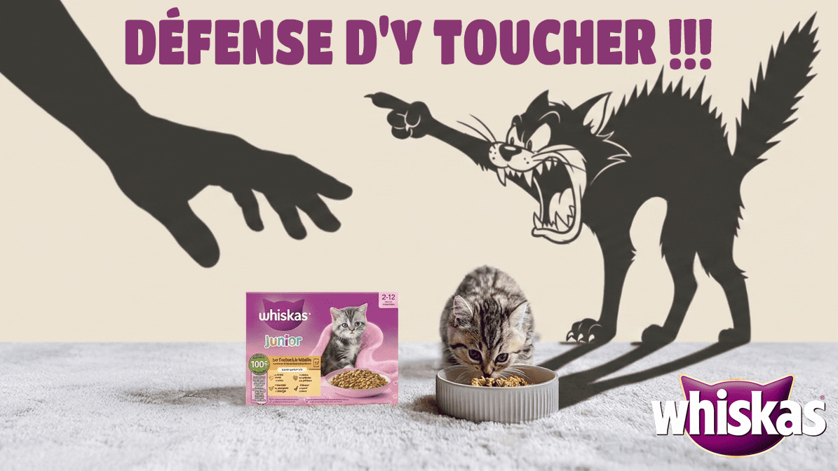 Défense d'y toucher !!!.png