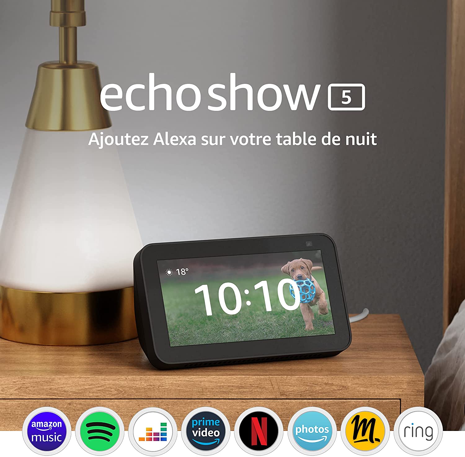 echoshow5.jpg