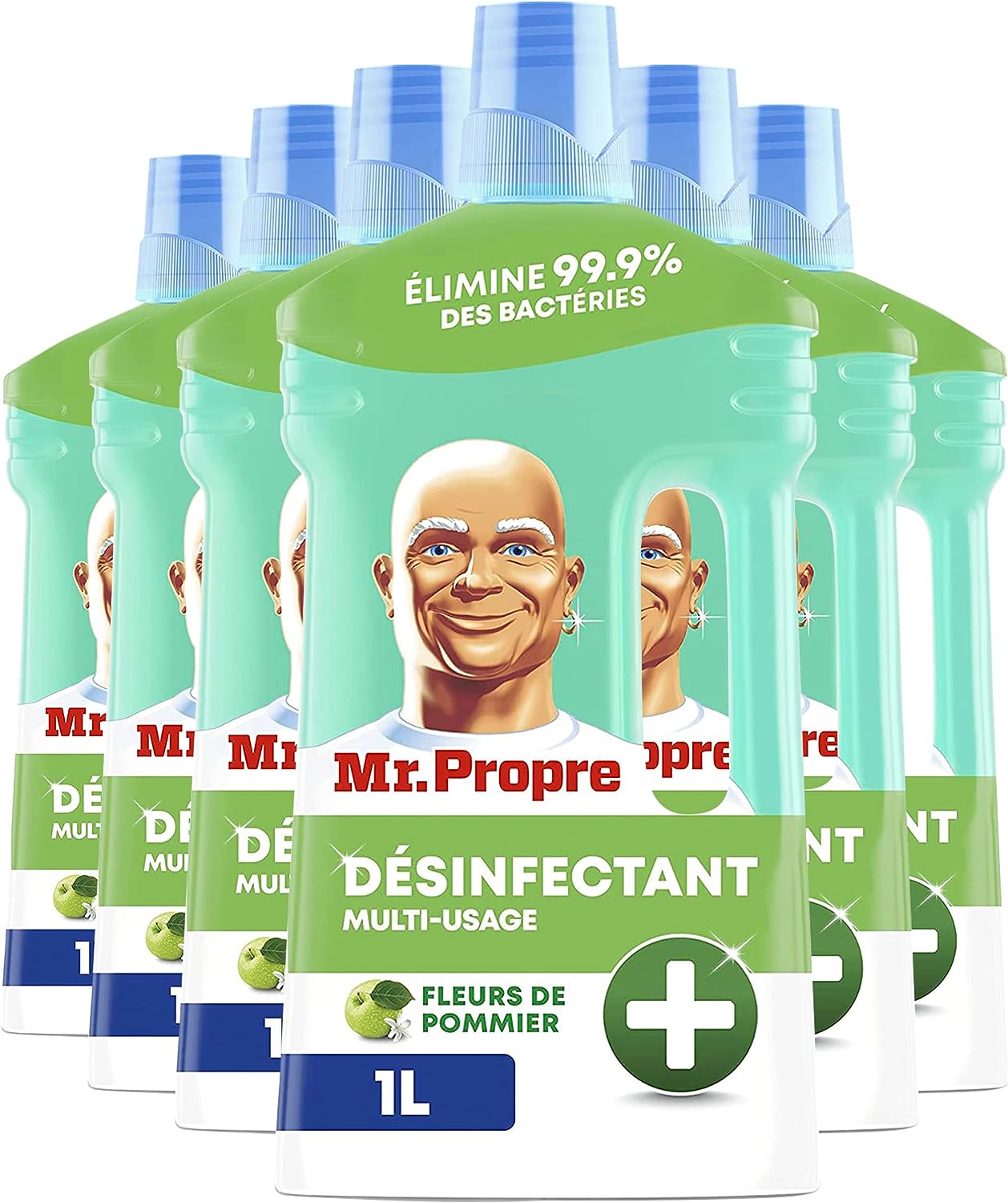 fleurs de pommiers.jpg