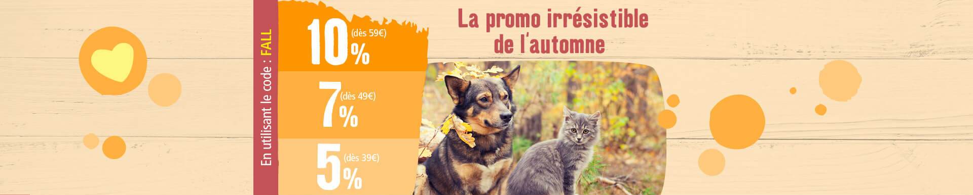 FR_KW39_StaffelgutscheinHerbstanfang_SG_OS.Stage_1 maxi zoo réductions.jpg