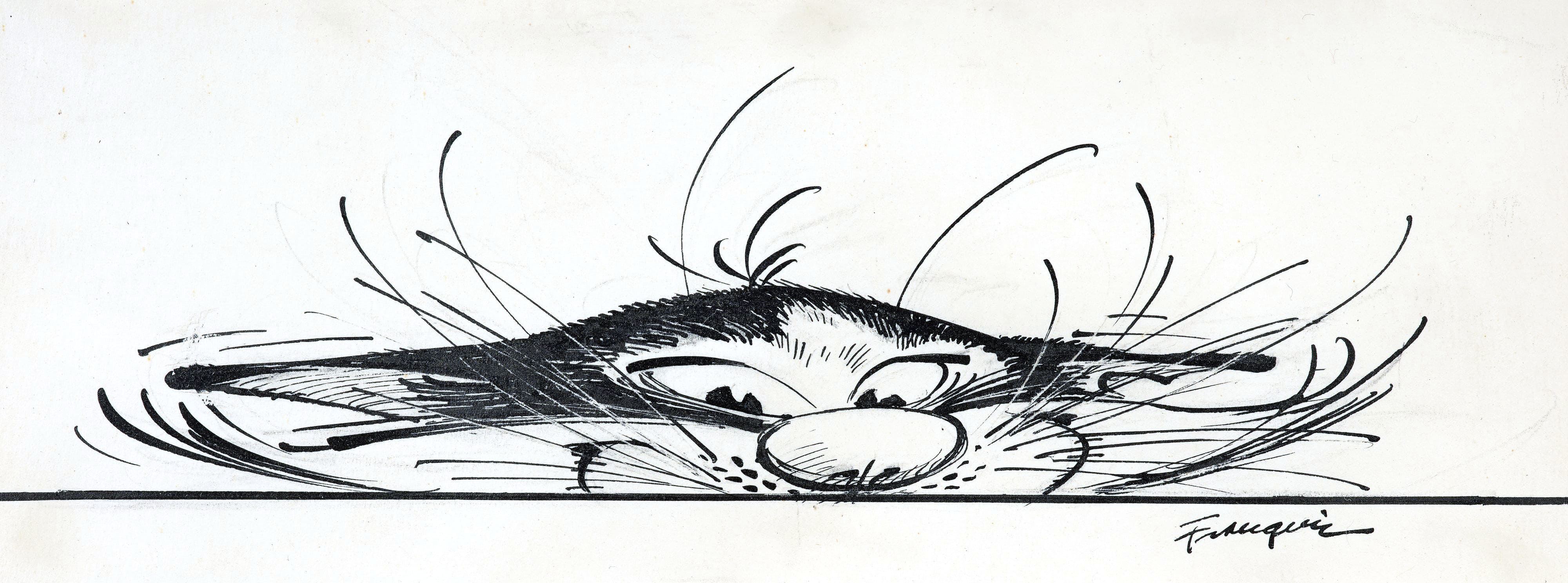 franquin-le-chat-de-gaston-2k6b.nettoye.jpg