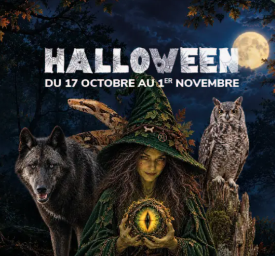Halloween-au-Parc-Argonne-Découverte--10-17-2026_09_10_PM.png