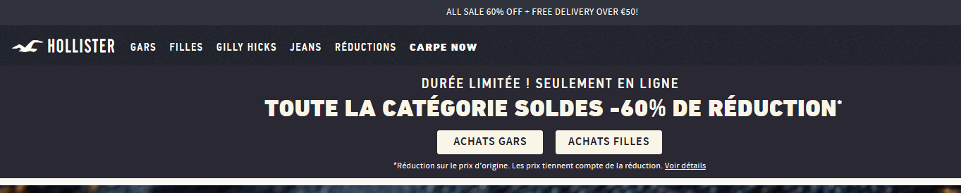 Hollister Co. Carpe Now   Clothing for Guys and Girls(1).png