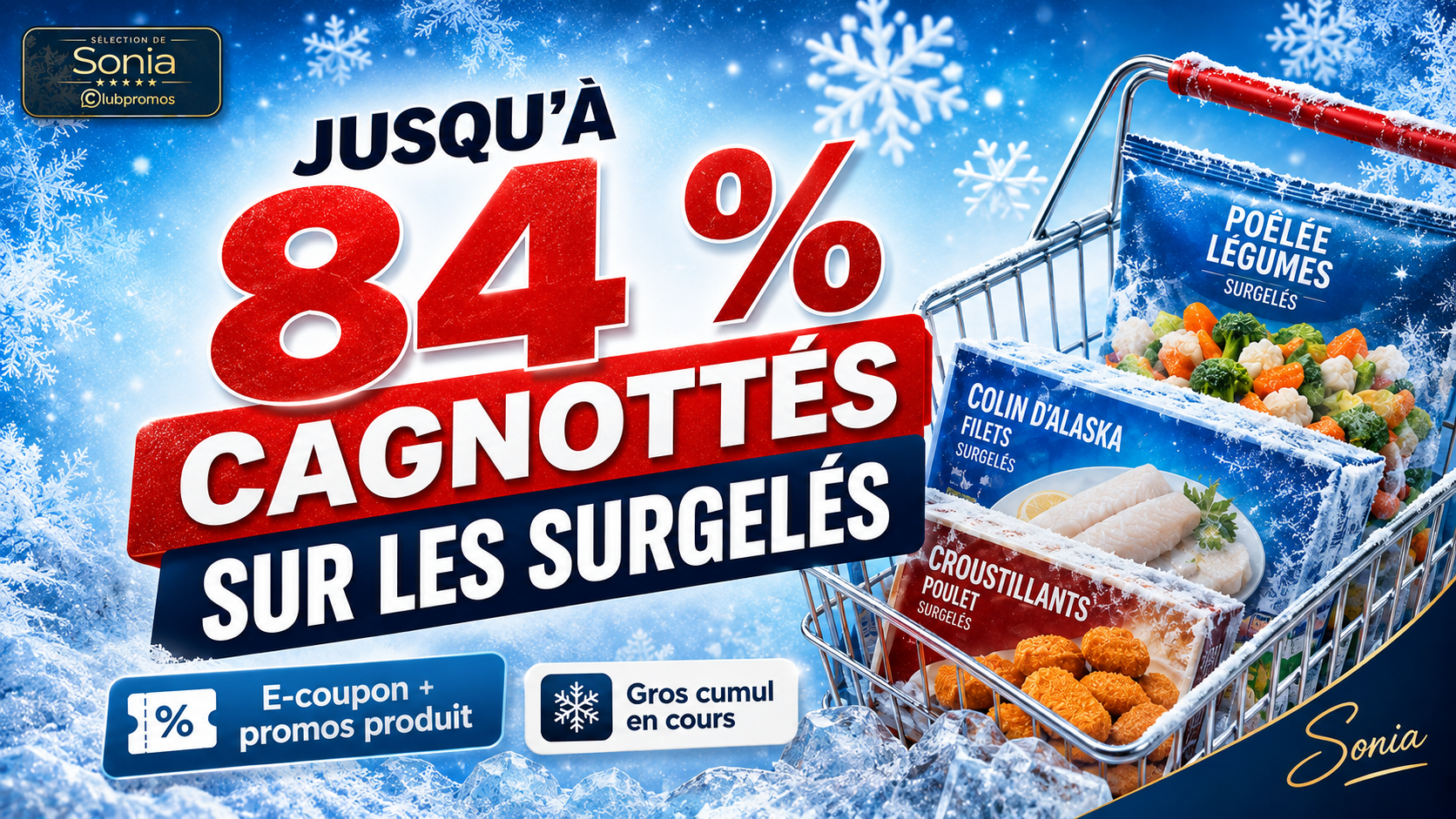 Bannière Intermarché surgelés avec jusqu’à 84 % cagnottés grâce au cumul e-coupon 50 % et promotions Carte