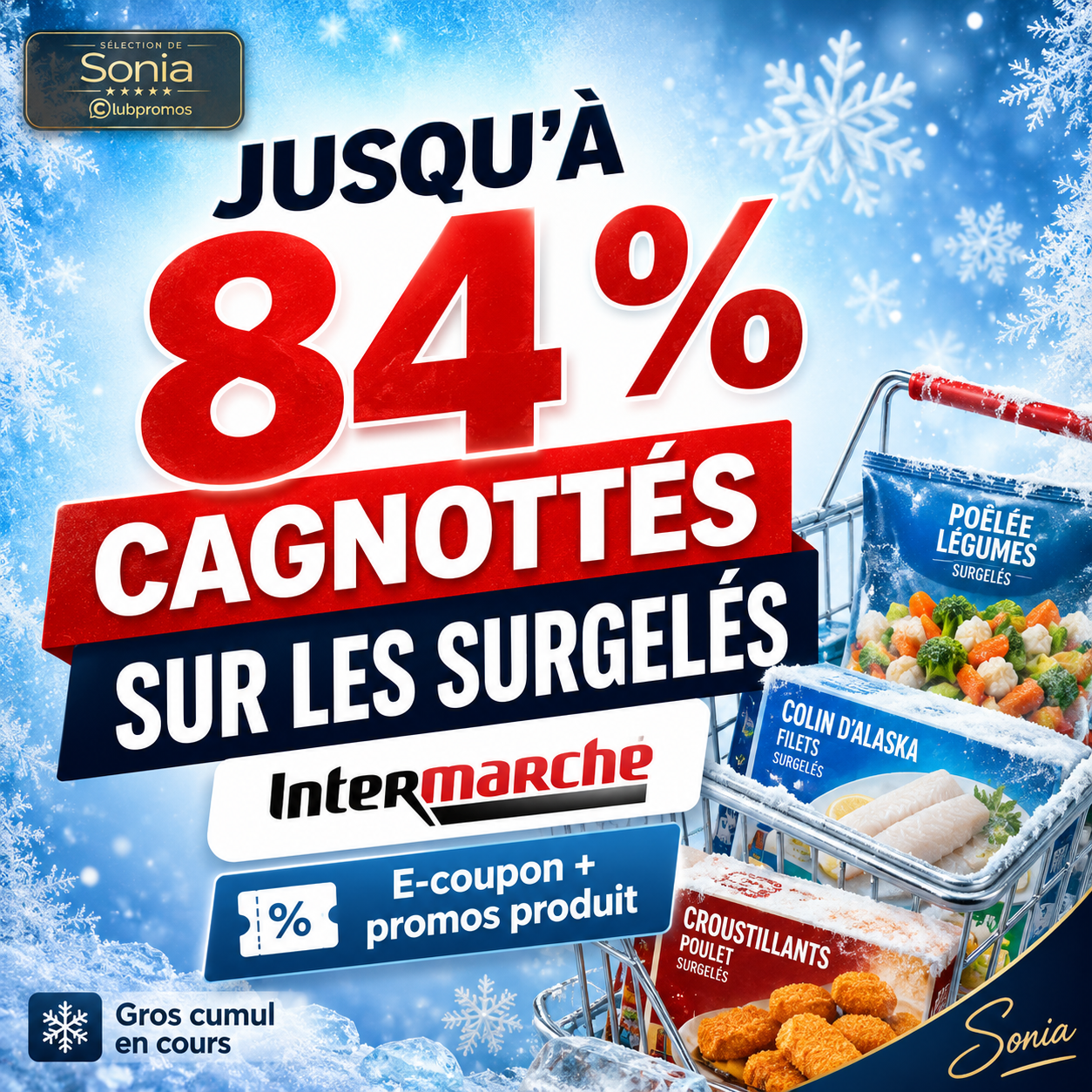 Optimisation Intermarché avec jusqu’à 84 % cagnottés sur certains surgelés grâce au cumul e-coupon et promotions Carte