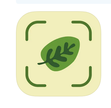 Leaf-Identification-dans-l’App-Store.png