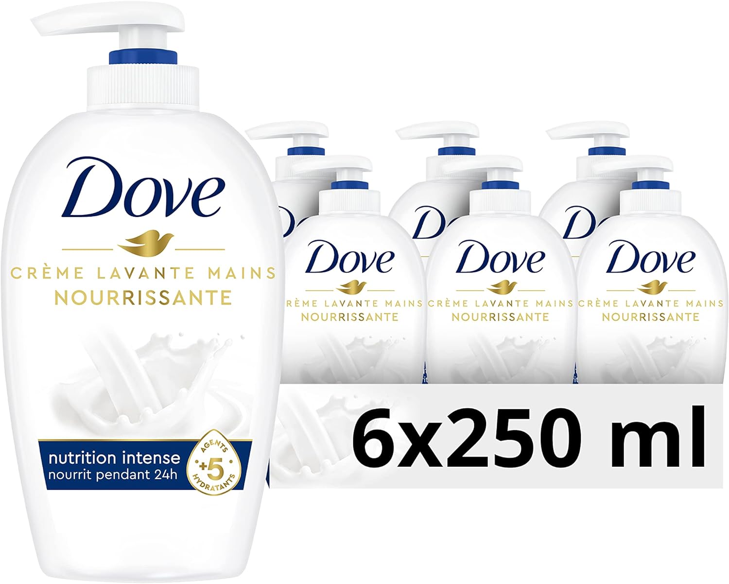 lot dove.jpg
