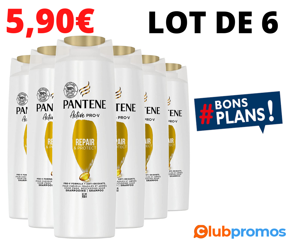 LOT PANTENE.png