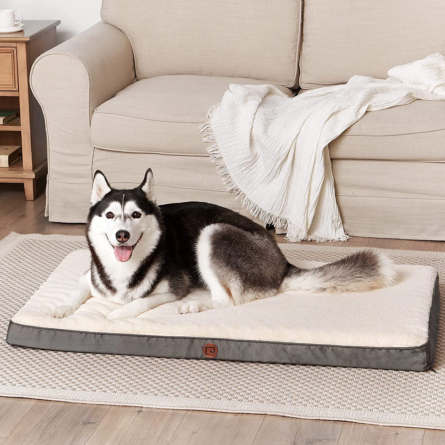 matelas chien.jpg