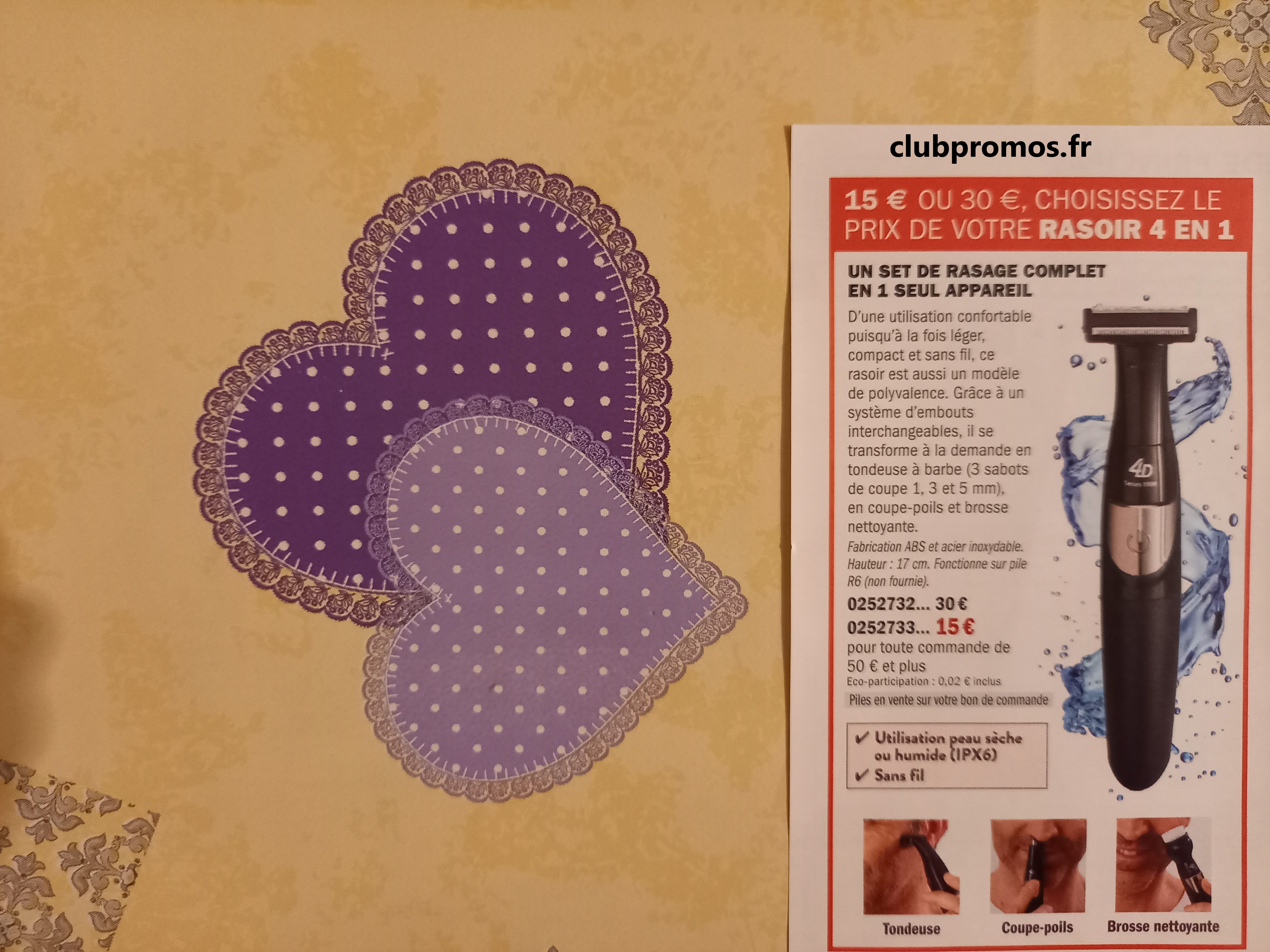 photos chats , jardin , fleurs et cimetière 200321 110.jpg