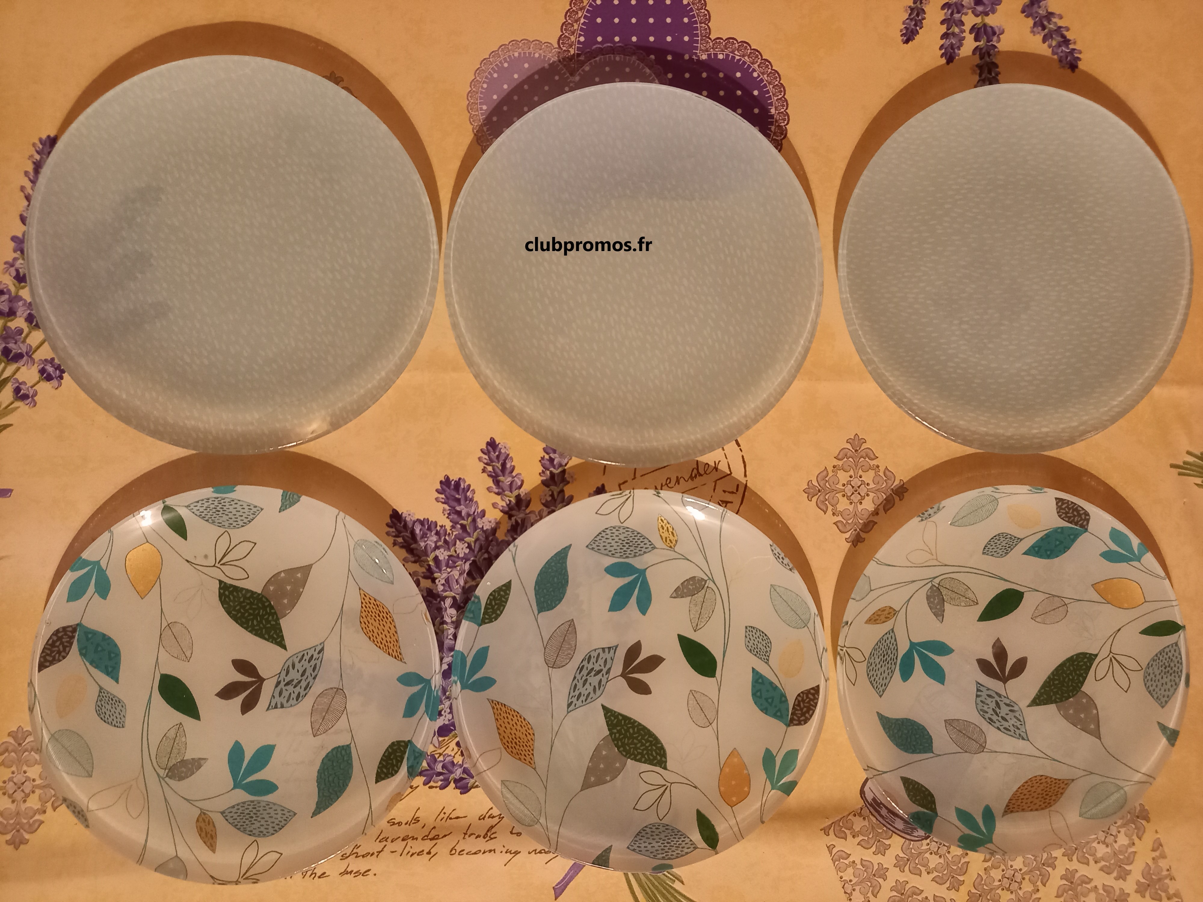 photos diverses chats , poussins , clubpromos zzpp 040621 400.jpg