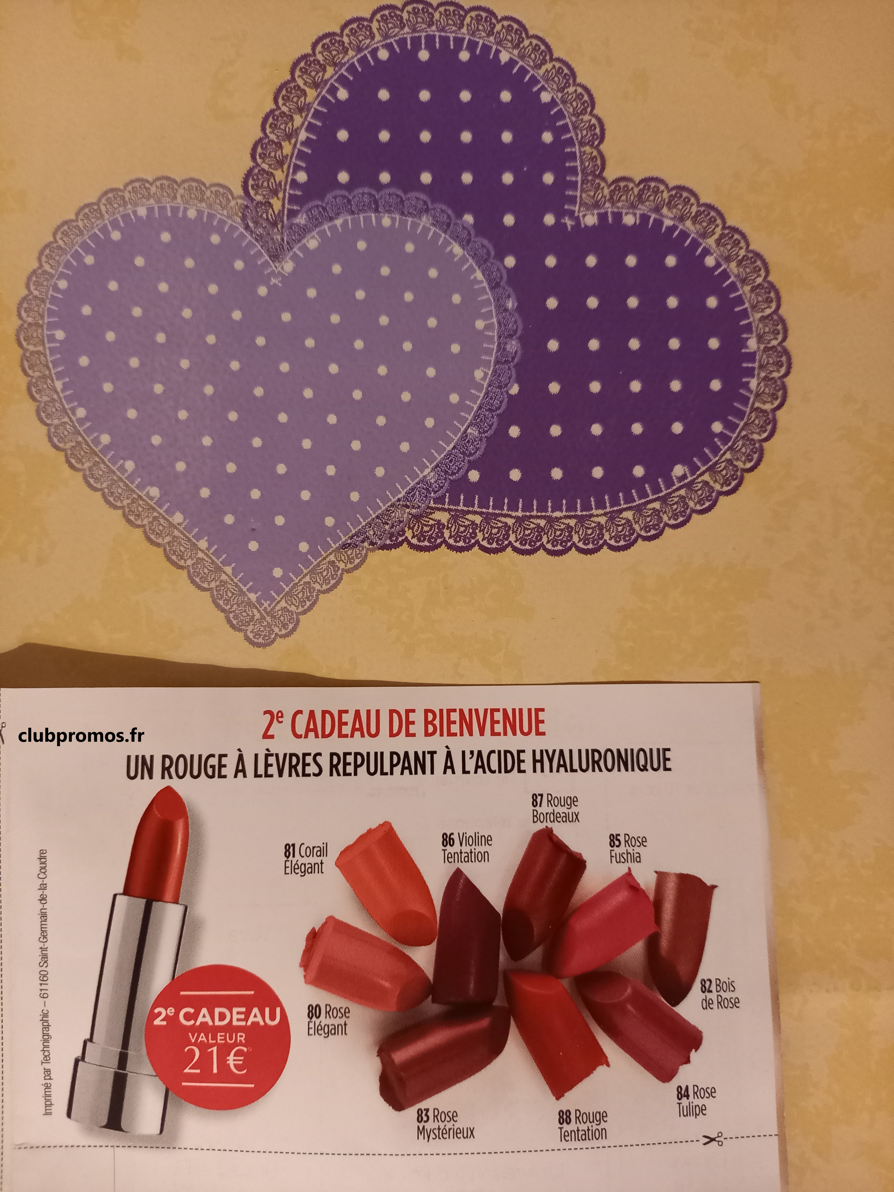 photos diverses chats , poussins , clubpromos zzpp 040621 407.jpg