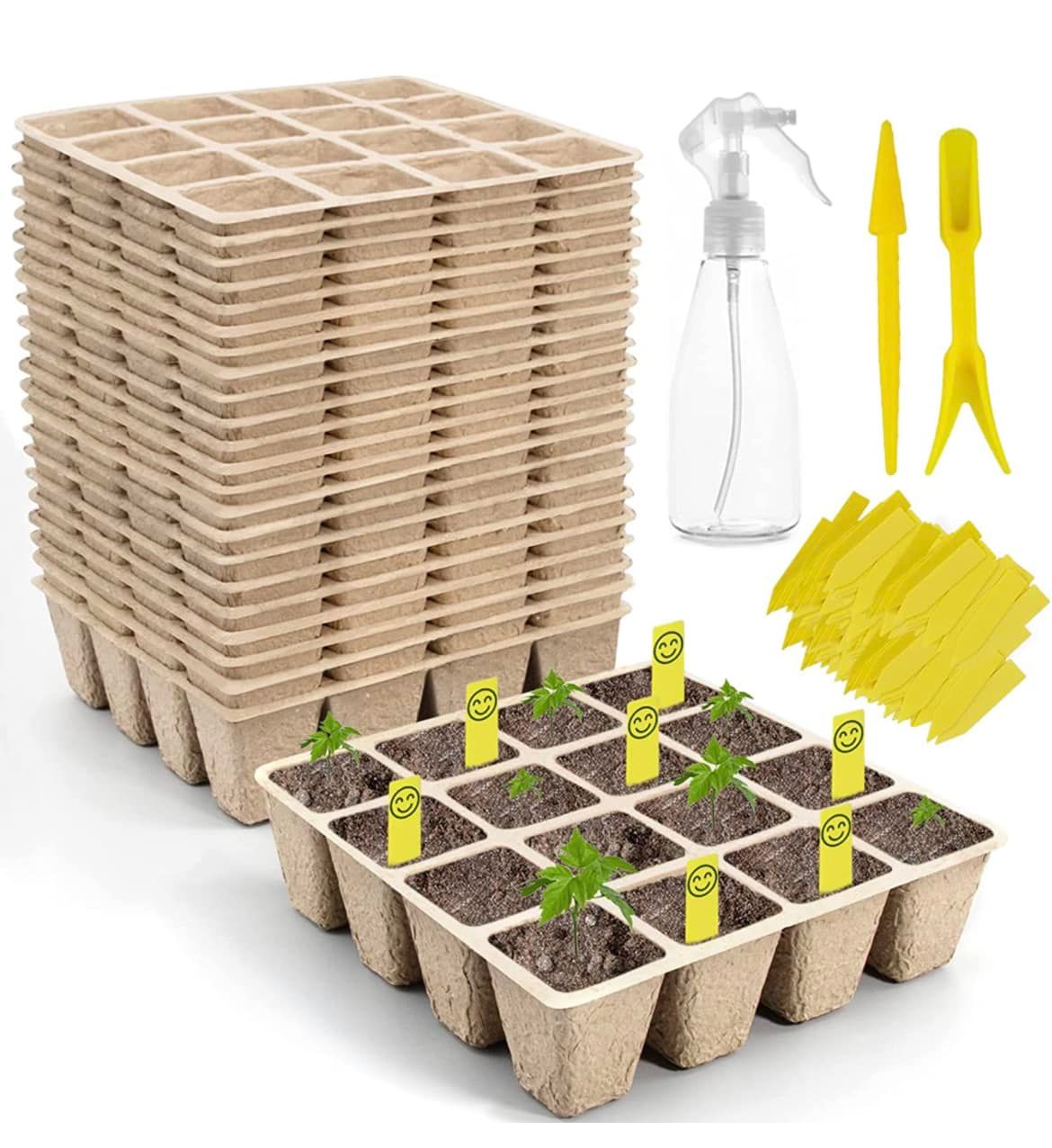 pot biodegradable.jpg