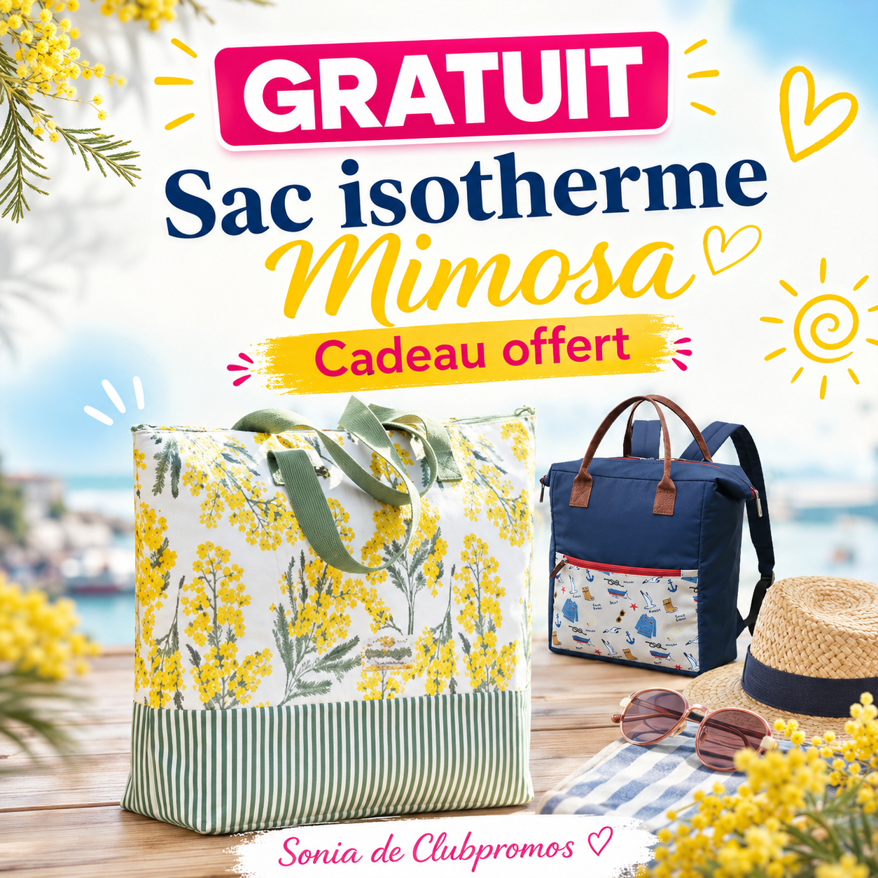 sac-mimosa-linvogse.png