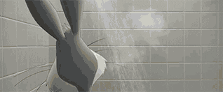 Sans-titre---1-1778253943928.gif