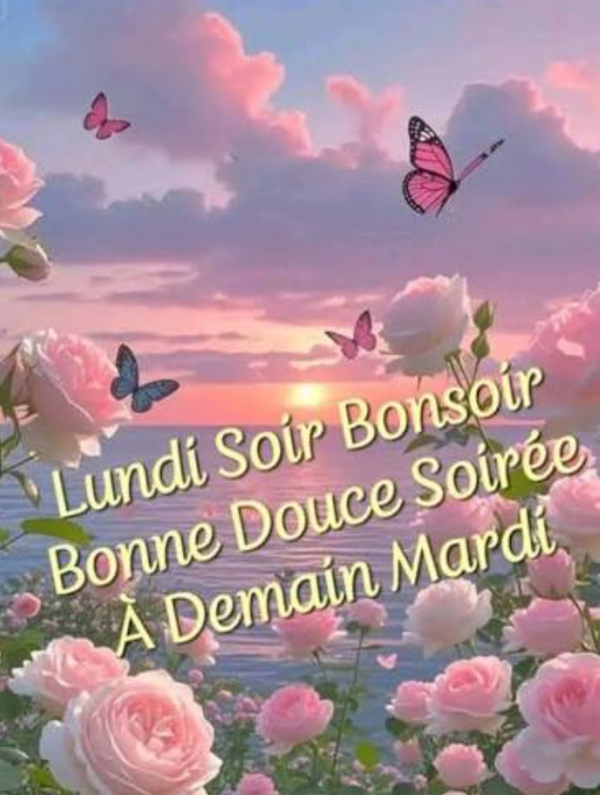 Screenshot 2026-08-17 at 19-31-39 bonne soiree lundi - Recherche Google.png
