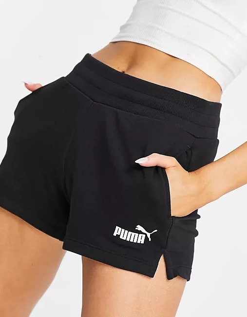 short puma.jpg