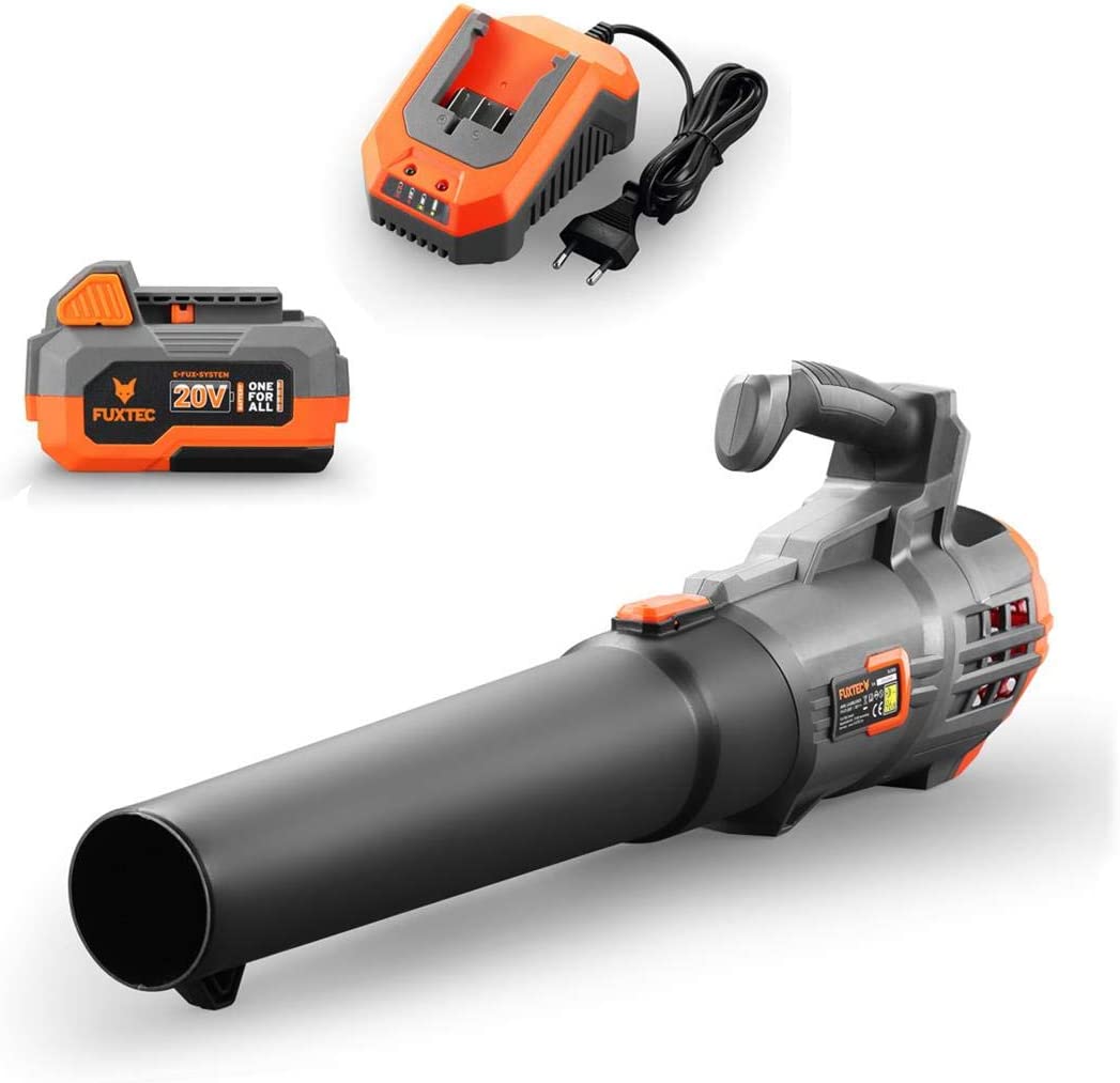 souffleur feuille.jpg