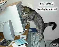 téléchargement.jpe