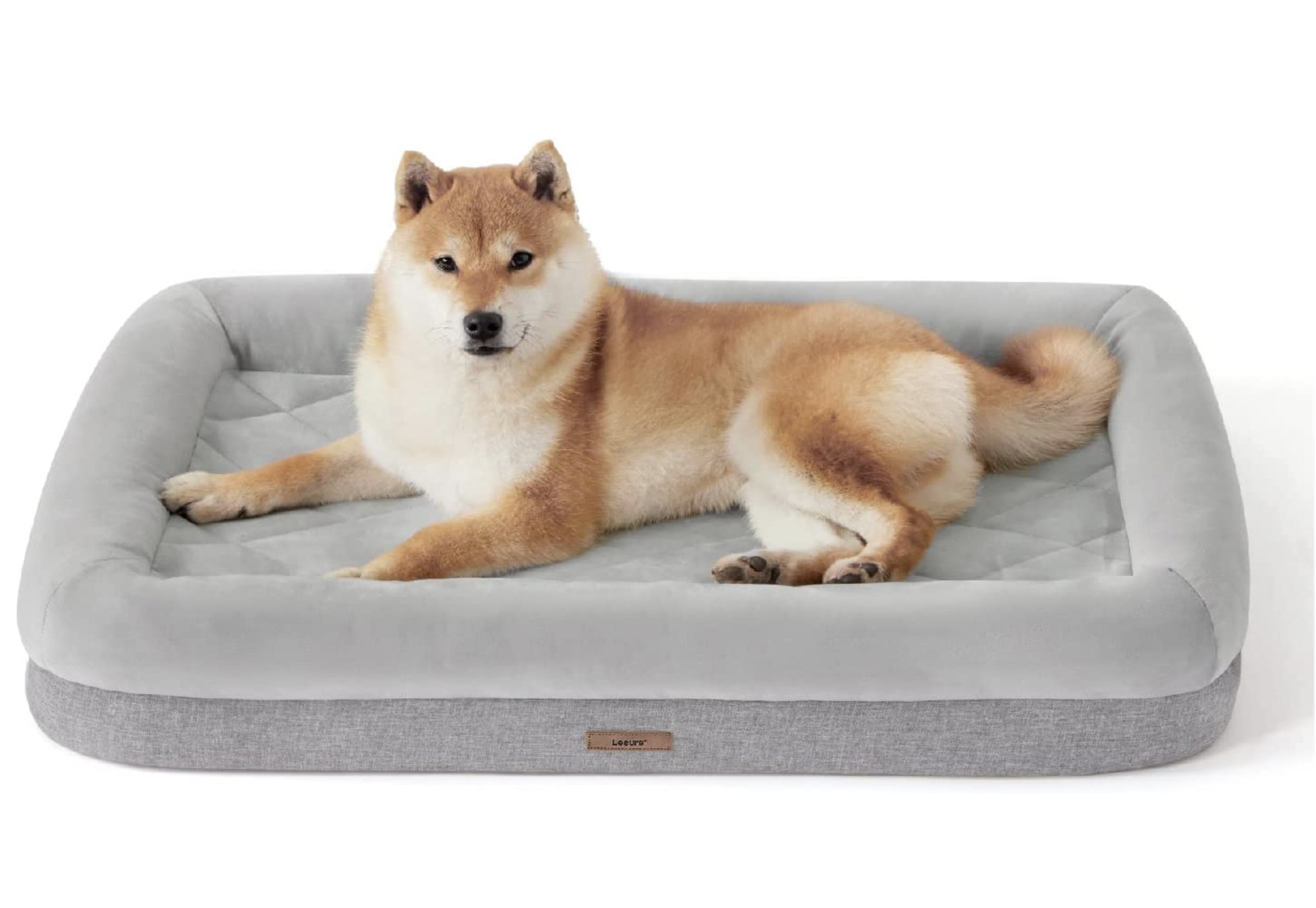 tapis chien.jpg