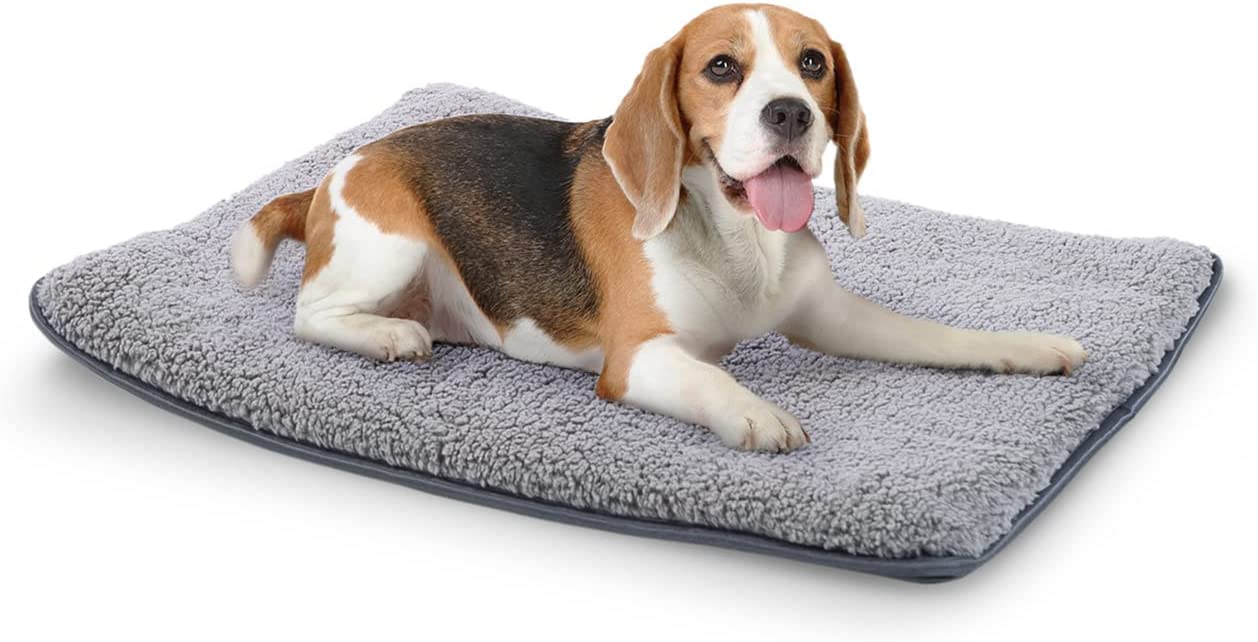 tapis chien.jpg